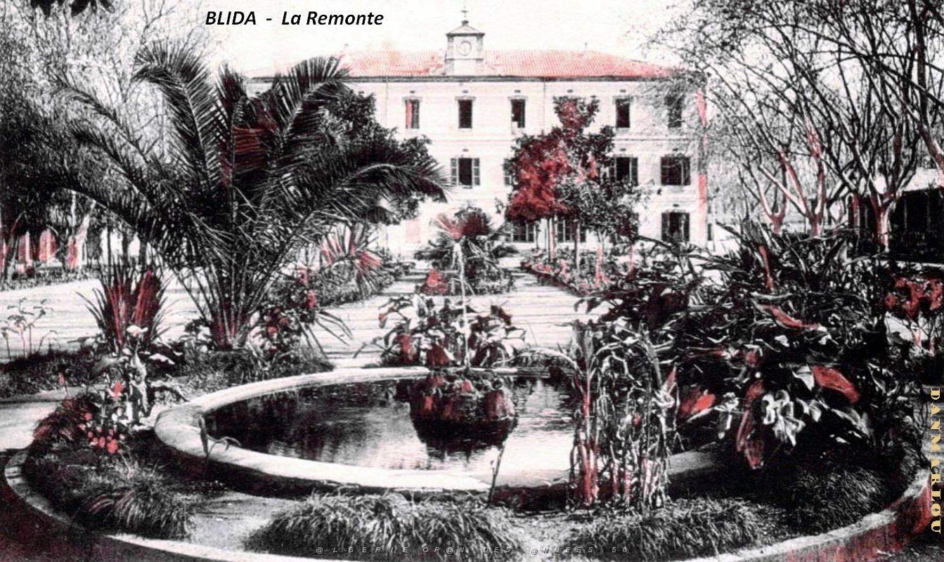 Blida - Remonte.jpg